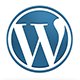 wordpress web developer